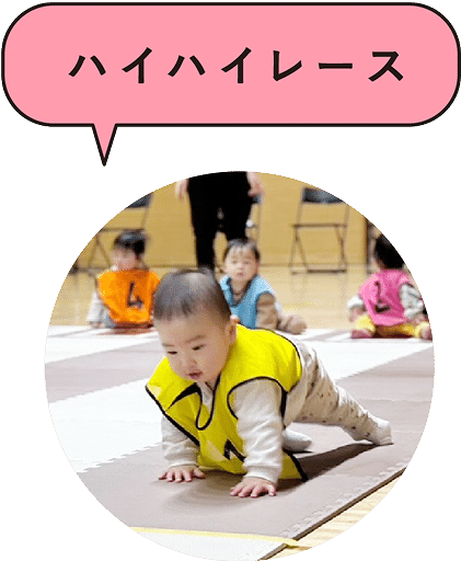 ハイハイレース